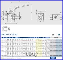 Gemels GE2 G3/8 PN500 Hydraulic Ball Valve 2 Way x 7