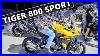 Tiger-800-Sport-First-Impressions-01-zwqg